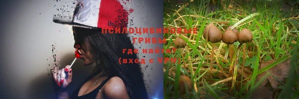 ГАЛЛЮЦИНОГЕННЫЕ ГРИБЫ Балахна