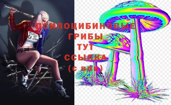 тгк Яблоновский
