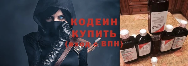 ГАЛЛЮЦИНОГЕННЫЕ ГРИБЫ Балахна