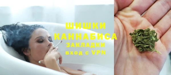 ГАЛЛЮЦИНОГЕННЫЕ ГРИБЫ Балахна