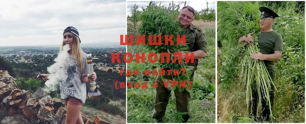 ГАЛЛЮЦИНОГЕННЫЕ ГРИБЫ Балахна
