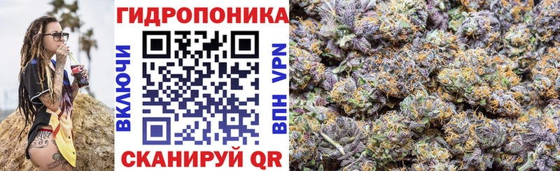 Конопля семена  купить наркотики сайты  Белорецк 